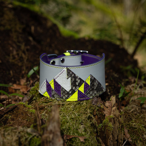 Reserved for Gray | Python Panel Art Collar