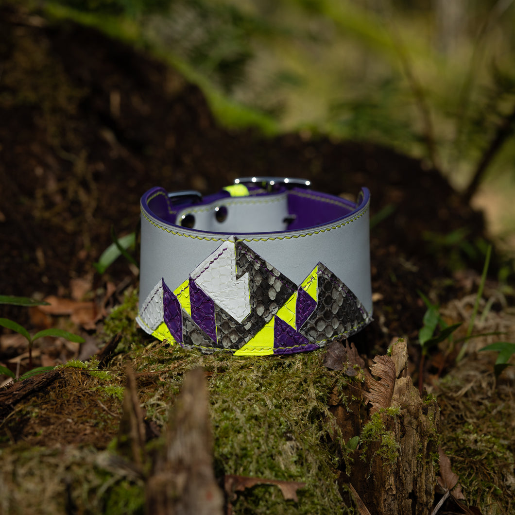 Reserved for Gray | Python Panel Art Collar