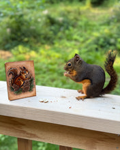 Douglas Squirrel | Backyard Buddies Collection | Hand Tooled Leather Card Wallet