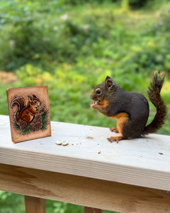 Douglas Squirrel | Backyard Buddies Collection | Hand Tooled Leather Card Wallet
