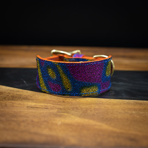 Disco | Stingray Leather Dog Collar | 8-11