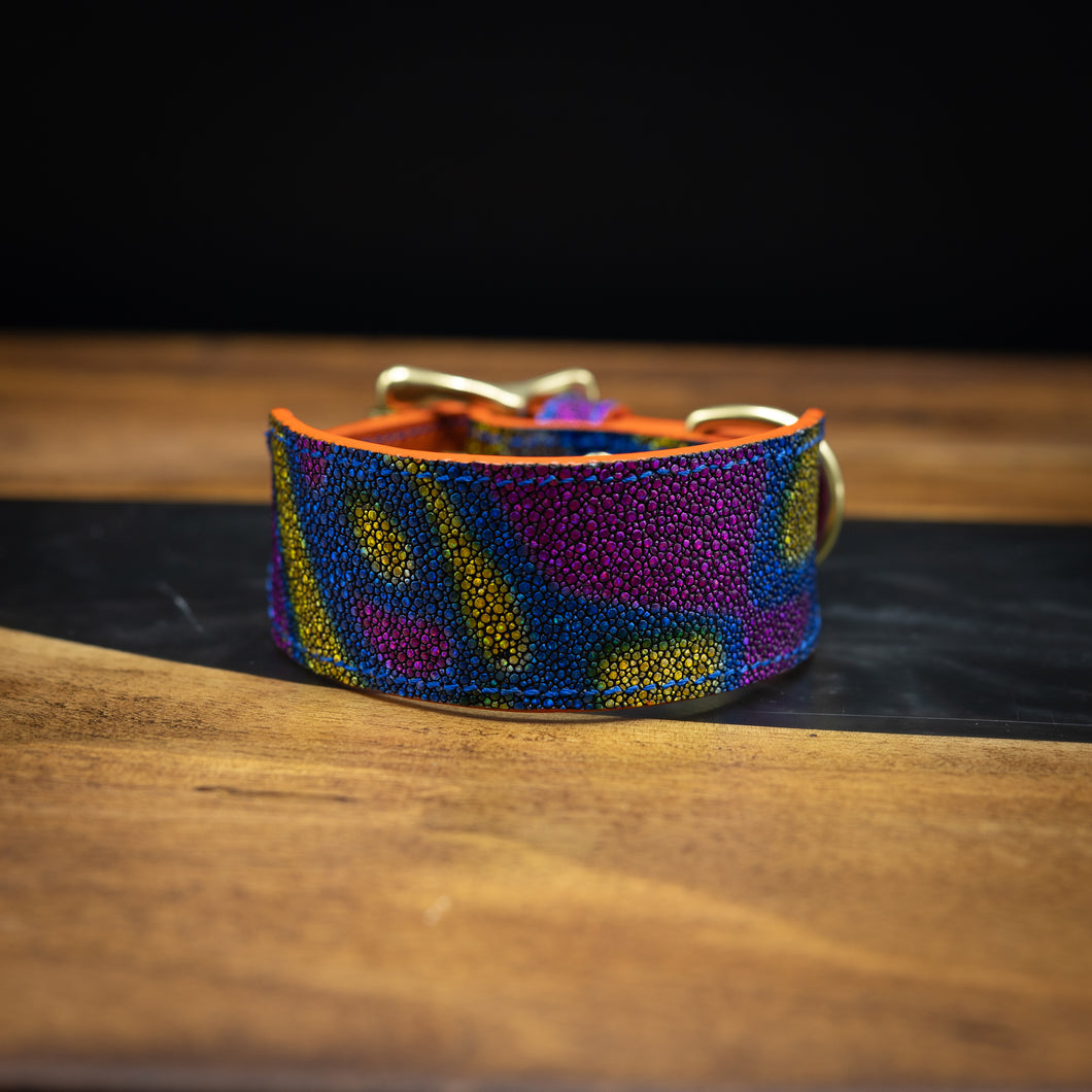 Disco | Stingray Leather Dog Collar | 8-11