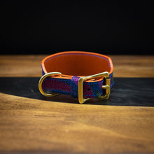 Disco | Stingray Leather Dog Collar | 8-11" | Sample Sale
