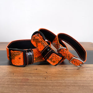 Neon Pumpkin | Python Leather Dog Collars