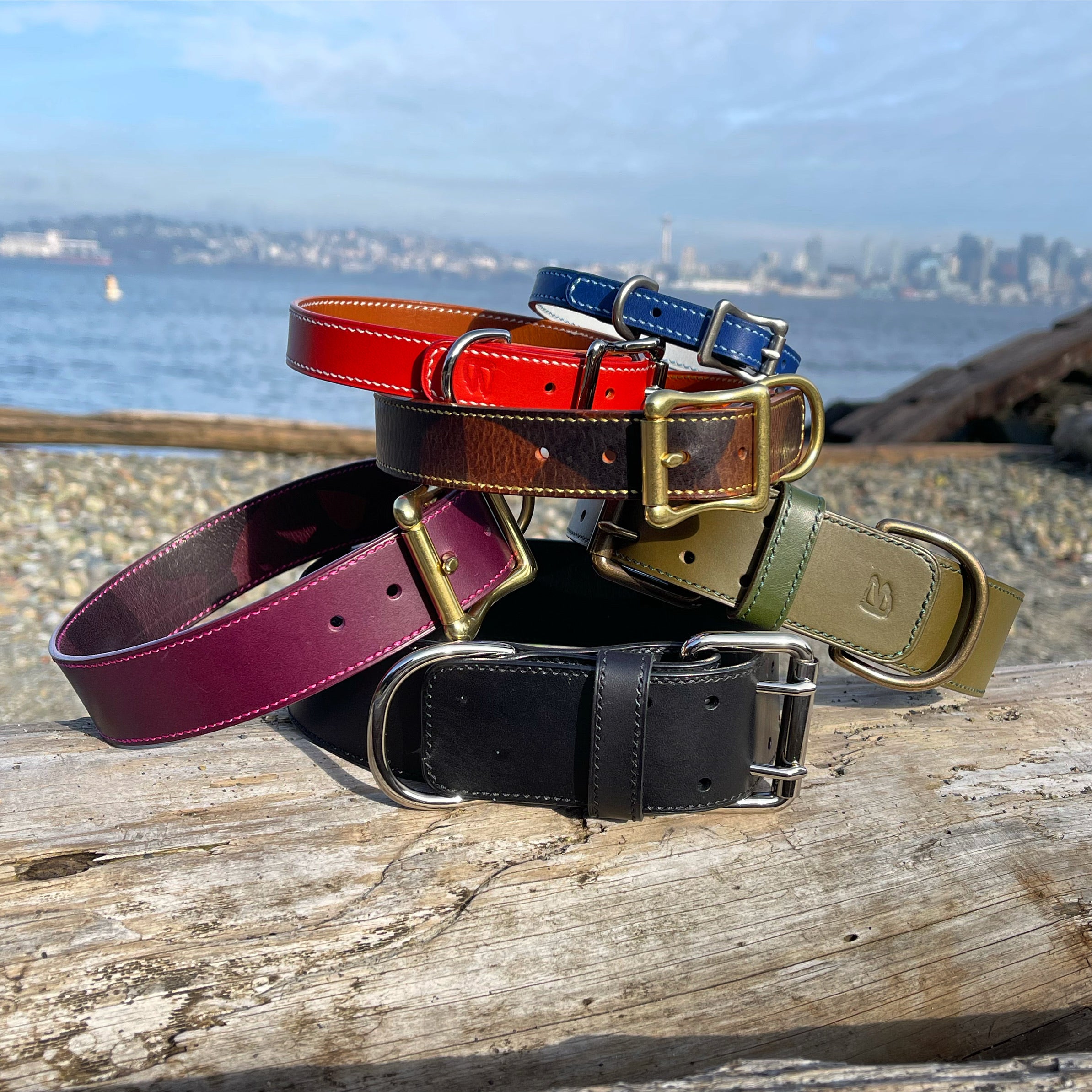 Italian Dog Collars – Guidogear