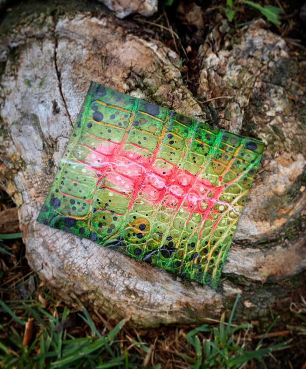 Rainbow Trout | Hand-dyed Alligator Skin Panel | 4” x 3.5”